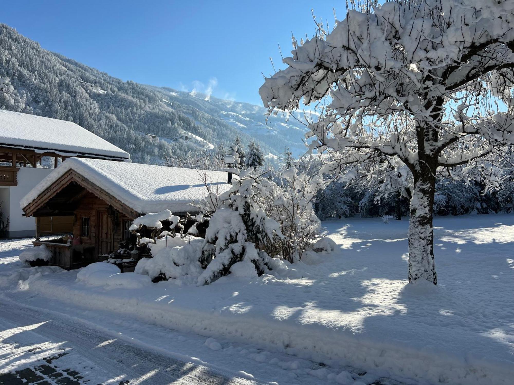 Martlerhof Apartment Aschau Im Zillertal Exterior foto
