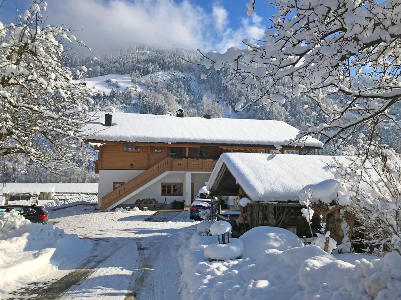 Martlerhof Apartment Aschau Im Zillertal Exterior foto